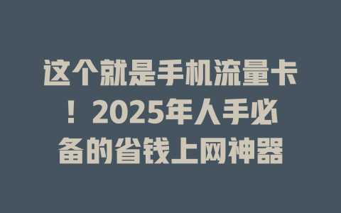 这个就是手机流量卡！2025年人手必备的省钱上网神器