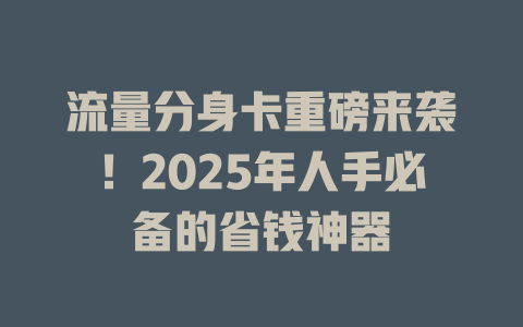 流量分身卡重磅来袭！2025年人手必备的省钱神器