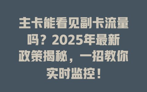 主卡能看见副卡流量吗？2025年最新政策揭秘，一招教你实时监控！