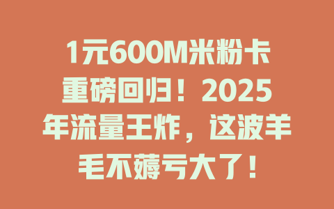 1元600M米粉卡重磅回归！2025年流量王炸，这波羊毛不薅亏大了！