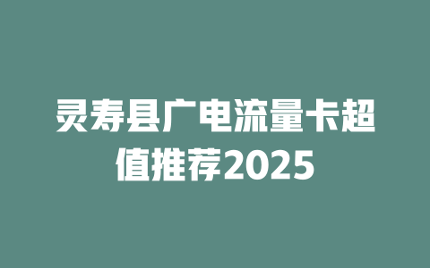 灵寿县广电流量卡超值推荐2025