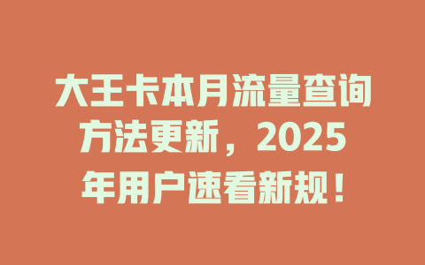 大王卡本月流量查询方法更新，2025年用户速看新规！