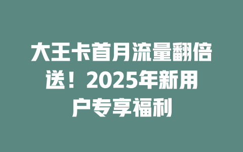 大王卡首月流量翻倍送！2025年新用户专享福利