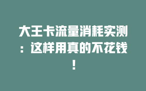 大王卡流量消耗实测：这样用真的不花钱！
