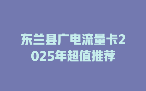 东兰县广电流量卡2025年超值推荐