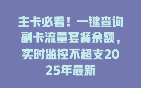 主卡必看！一键查询副卡流量套餐余额，实时监控不超支2025年最新
