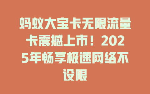 蚂蚁大宝卡无限流量卡震撼上市！2025年畅享极速网络不设限
