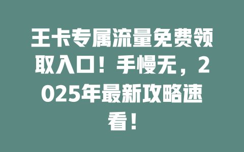 王卡专属流量免费领取入口！手慢无，2025年最新攻略速看！