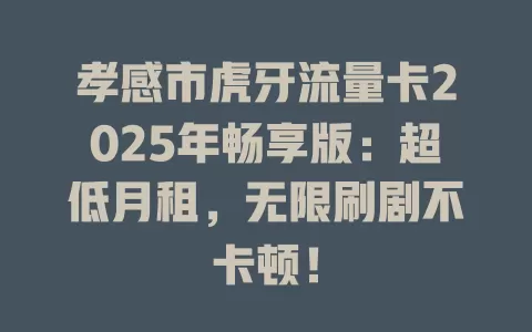 孝感市虎牙流量卡2025年畅享版：超低月租，无限刷剧不卡顿！