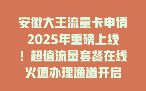 安徽大王流量卡申请2025年重磅上线！超值流量套餐在线火速办理通道开启