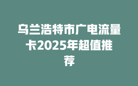 乌兰浩特市广电流量卡2025年超值推荐