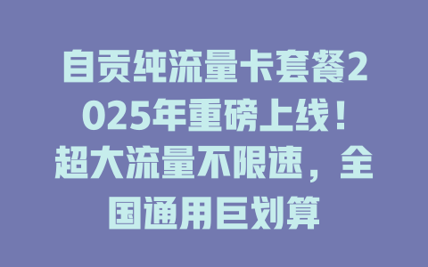 自贡纯流量卡套餐2025年重磅上线！超大流量不限速，全国通用巨划算
