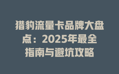 猎豹流量卡品牌大盘点：2025年最全指南与避坑攻略
