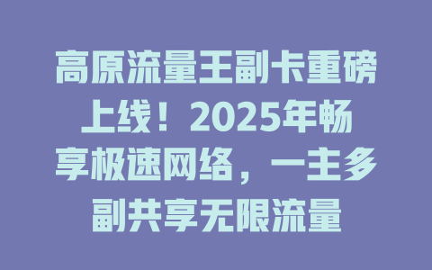 高原流量王副卡重磅上线！2025年畅享极速网络，一主多副共享无限流量