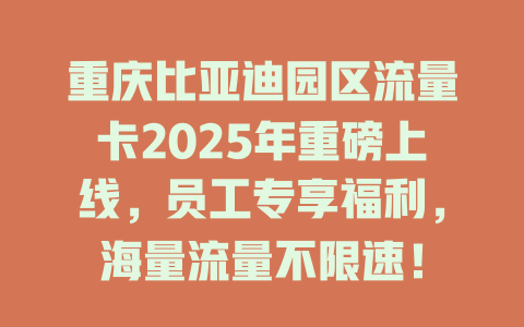 重庆比亚迪园区流量卡2025年重磅上线，员工专享福利，海量流量不限速！