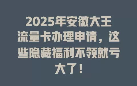 2025年安徽大王流量卡办理申请，这些隐藏福利不领就亏大了！