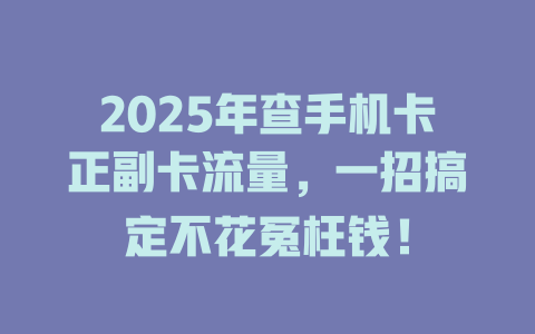 2025年查手机卡正副卡流量，一招搞定不花冤枉钱！