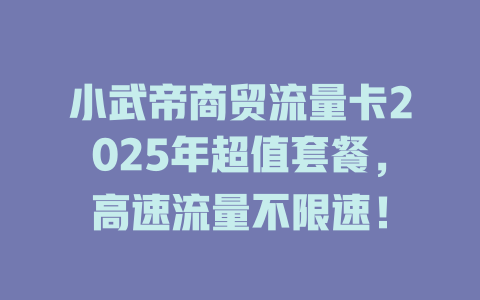 小武帝商贸流量卡2025年超值套餐，高速流量不限速！