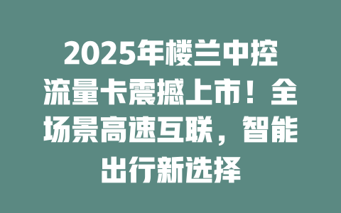 2025年楼兰中控流量卡震撼上市！全场景高速互联，智能出行新选择