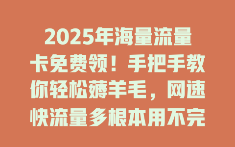 2025年海量流量卡免费领！手把手教你轻松薅羊毛，网速快流量多根本用不完