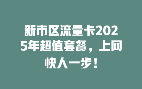 新市区流量卡2025年超值套餐，上网快人一步！