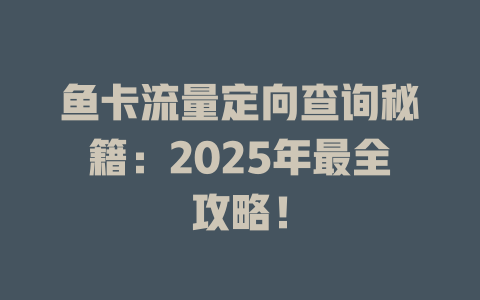 鱼卡流量定向查询秘籍：2025年最全攻略！