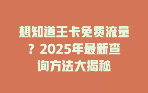 想知道王卡免费流量？2025年最新查询方法大揭秘
