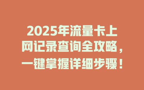 2025年流量卡上网记录查询全攻略，一键掌握详细步骤！