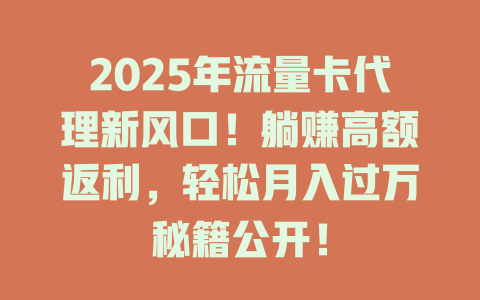 2025年流量卡代理新风口！躺赚高额返利，轻松月入过万秘籍公开！