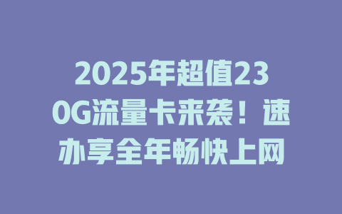 2025年超值230G流量卡来袭！速办享全年畅快上网