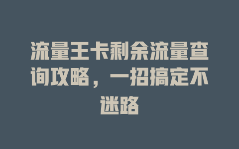 流量王卡剩余流量查询攻略，一招搞定不迷路