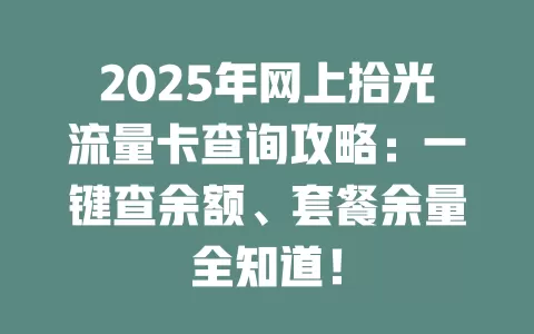 2025年网上拾光流量卡查询攻略：一键查余额、套餐余量全知道！