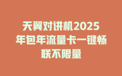 天翼对讲机2025年包年流量卡一键畅联不限量