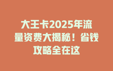 大王卡2025年流量资费大揭秘！省钱攻略全在这