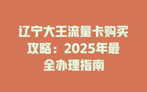 辽宁大王流量卡购买攻略：2025年最全办理指南