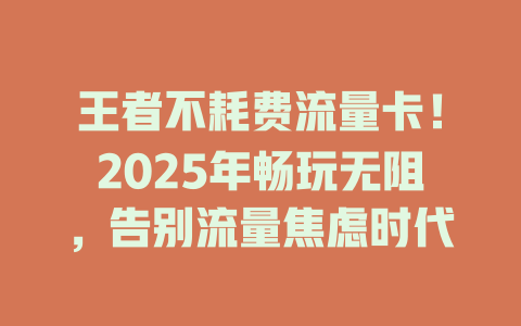 王者不耗费流量卡！2025年畅玩无阻，告别流量焦虑时代