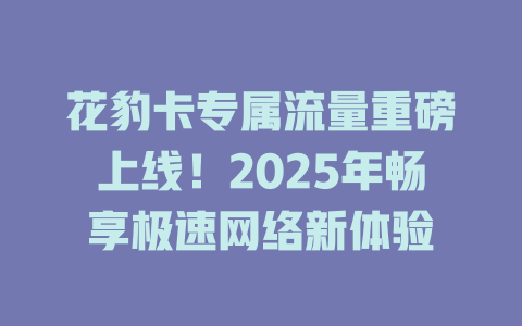花豹卡专属流量重磅上线！2025年畅享极速网络新体验
