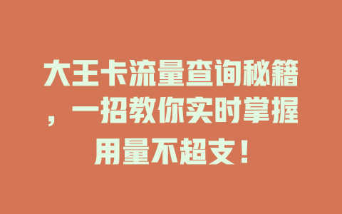 大王卡流量查询秘籍，一招教你实时掌握用量不超支！