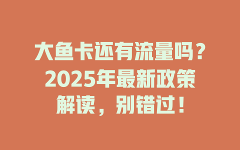 大鱼卡还有流量吗？2025年最新政策解读，别错过！