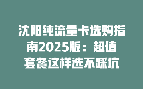 沈阳纯流量卡选购指南2025版：超值套餐这样选不踩坑