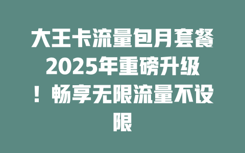 大王卡流量包月套餐2025年重磅升级！畅享无限流量不设限