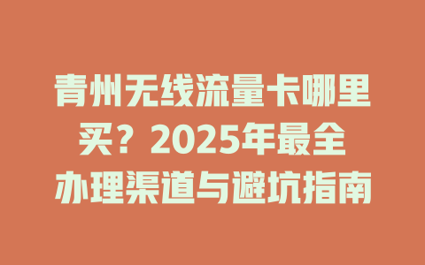 青州无线流量卡哪里买？2025年最全办理渠道与避坑指南
