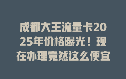 成都大王流量卡2025年价格曝光！现在办理竟然这么便宜