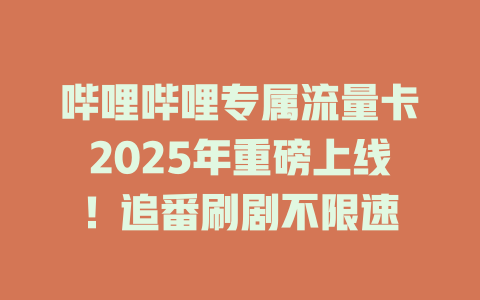 哔哩哔哩专属流量卡2025年重磅上线！追番刷剧不限速
