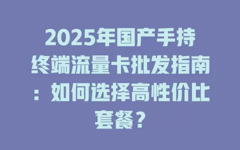 2025年国产手持终端流量卡批发指南：如何选择高性价比套餐？