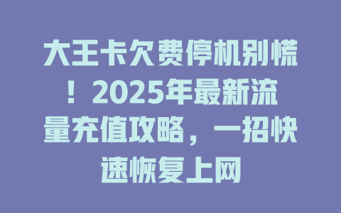 大王卡欠费停机别慌！2025年最新流量充值攻略，一招快速恢复上网