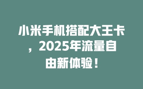 小米手机搭配大王卡，2025年流量自由新体验！