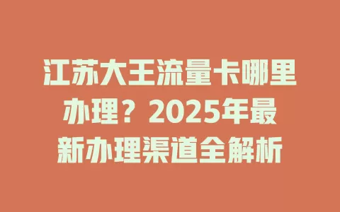 江苏大王流量卡哪里办理？2025年最新办理渠道全解析