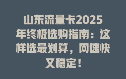 山东流量卡2025年终极选购指南：这样选最划算，网速快又稳定！
