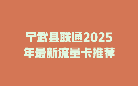 宁武县联通2025年最新流量卡推荐